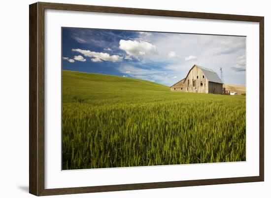 Old Barn Surrounded by Spring Wheat Field, Pr-Terry Eggers-Framed Photographic Print