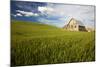 Old Barn Surrounded by Spring Wheat Field, Pr-Terry Eggers-Mounted Photographic Print