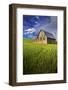 Old Barn Surrounded by Spring Wheat Field, Pr-Terry Eggers-Framed Photographic Print