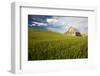 Old Barn Surrounded by Spring Wheat Field, Pr-Terry Eggers-Framed Photographic Print