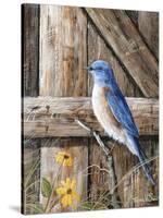 Old Barn Watcher-Trevor V. Swanson-Stretched Canvas