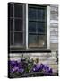 Old Barn with Cat in the Window, Whitman County, Washington, USA-Julie Eggers-Stretched Canvas