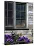 Old Barn with Cat in the Window, Whitman County, Washington, USA-Julie Eggers-Stretched Canvas