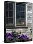 Old Barn with Cat in the Window, Whitman County, Washington, USA-Julie Eggers-Framed Stretched Canvas