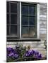 Old Barn with Cat in the Window, Whitman County, Washington, USA-Julie Eggers-Mounted Premium Photographic Print