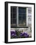 Old Barn with Cat in the Window, Whitman County, Washington, USA-Julie Eggers-Framed Photographic Print