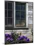 Old Barn with Cat in the Window, Whitman County, Washington, USA-Julie Eggers-Mounted Photographic Print