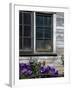 Old Barn with Cat in the Window, Whitman County, Washington, USA-Julie Eggers-Framed Photographic Print