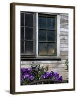 Old Barn with Cat in the Window, Whitman County, Washington, USA-Julie Eggers-Framed Photographic Print