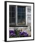 Old Barn with Cat in the Window, Whitman County, Washington, USA-Julie Eggers-Framed Photographic Print