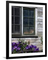 Old Barn with Cat in the Window, Whitman County, Washington, USA-Julie Eggers-Framed Photographic Print