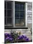 Old Barn with Cat in the Window, Whitman County, Washington, USA-Julie Eggers-Mounted Photographic Print