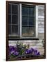 Old Barn with Cat in the Window, Whitman County, Washington, USA-Julie Eggers-Framed Photographic Print