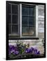 Old Barn with Cat in the Window, Whitman County, Washington, USA-Julie Eggers-Framed Photographic Print