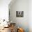 Old Barn with Cat in the Window, Whitman County, Washington, USA-Julie Eggers-Mounted Photographic Print displayed on a wall