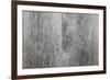 Old Barn Wood Background-elenathewise-Framed Photographic Print