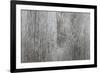 Old Barn Wood Background-elenathewise-Framed Photographic Print