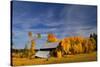 Old Barn-Ike Leahy-Stretched Canvas