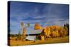 Old Barn-Ike Leahy-Stretched Canvas