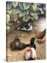 Old Barnyard Chickens-Kevin Dodds-Stretched Canvas