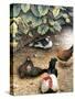 Old Barnyard Chickens-Kevin Dodds-Stretched Canvas