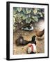 Old Barnyard Chickens-Kevin Dodds-Framed Giclee Print