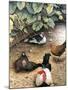 Old Barnyard Chickens-Kevin Dodds-Mounted Giclee Print