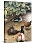 Old Barnyard Chickens-Kevin Dodds-Stretched Canvas