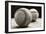 Old Baseballs-Edward M. Fielding-Framed Photographic Print