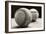 Old Baseballs-Edward M. Fielding-Framed Photographic Print