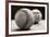 Old Baseballs-Edward M. Fielding-Framed Photographic Print