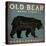 Old Bear-Ryan Fowler-Stretched Canvas