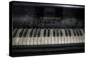 Old Bechstein Piano-Nathan Wright-Stretched Canvas