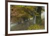 Old Beech Trees (Fagus Sp) in Autumn, Piatra Craiului, Transylvania, Carpathian Mountains, Romania-Dörr-Framed Photographic Print