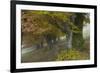 Old Beech Trees (Fagus Sp) in Autumn, Piatra Craiului, Transylvania, Carpathian Mountains, Romania-Dörr-Framed Photographic Print