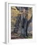 Old beeches in the Urwald Sababurg, Reinhardswald, Hessia, Germany-Michael Jaeschke-Framed Photographic Print