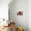 Old Berber houses and narrow streets in a village of Aguerd Oudad, Tafraoute, Morocco, North Africa-Michal Szafarczyk-Photographic Print displayed on a wall