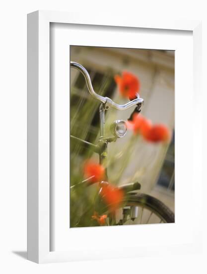 Old Bicycle and Flowers-Guido Cozzi-Framed Photographic Print