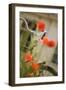 Old Bicycle and Flowers-Guido Cozzi-Framed Photographic Print