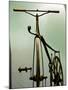 Old Bicycle, Karlovac, Croatia-Russell Young-Mounted Premium Photographic Print