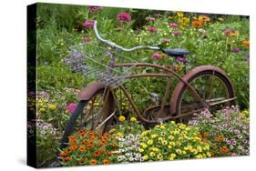 Old Bicycle with Flower Basket in Garden with Zinnias, Marion County, Illinois-Richard and Susan Day-Stretched Canvas