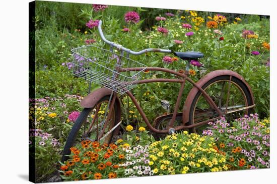 Old Bicycle with Flower Basket in Garden with Zinnias, Marion County, Illinois-Richard and Susan Day-Stretched Canvas