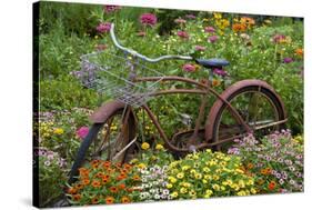 Old Bicycle with Flower Basket in Garden with Zinnias, Marion County, Illinois-Richard and Susan Day-Stretched Canvas