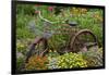 Old Bicycle with Flower Basket in Garden with Zinnias, Marion County, Illinois-Richard and Susan Day-Framed Premium Photographic Print