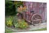 Old Bicycle with Flower Basket Next to Old Outhouse Garden Shed. Marion County, Illinois-Richard and Susan Day-Mounted Premium Photographic Print