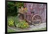 Old Bicycle with Flower Basket Next to Old Outhouse Garden Shed. Marion County, Illinois-Richard and Susan Day-Framed Premium Photographic Print