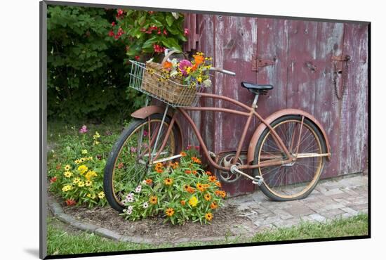 Old Bicycle with Flower Basket Next to Old Outhouse Garden Shed. Marion County, Illinois-Richard and Susan Day-Mounted Photographic Print