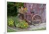 Old Bicycle with Flower Basket Next to Old Outhouse Garden Shed. Marion County, Illinois-Richard and Susan Day-Framed Photographic Print