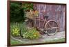 Old Bicycle with Flower Basket Next to Old Outhouse Garden Shed. Marion County, Illinois-Richard and Susan Day-Framed Photographic Print
