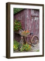 Old Bicycle with Flower Basket Next to Old Outhouse Garden Shed-Richard and Susan Day-Framed Photographic Print